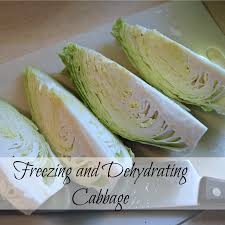 Check spelling or type a new query. Freezing And Dehydrating Cabbage Oak Hill Homestead