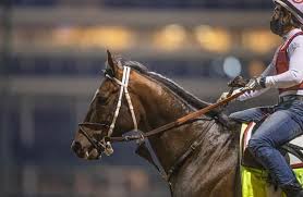 The preakness stakes, the second leg of the triple crown, witnessed its post draw and opening odds unveiled on tuesday with medina spirit among the field of 10. Preakness 2021 3 Long Shots That Could Hit The Board