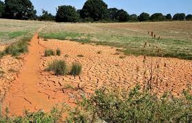 Papernest vous accompagne gratuitement dans vos démarches administratives en quelques minutes ! Secheresse Les Restrictions D Eau Sont Renforcees En Vendee