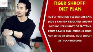 Tiger Shroff Workout Routine And Diet Plan 2018 Must Watch