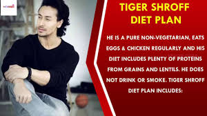 tiger shroff workout routine and diet plan 2018 must watch