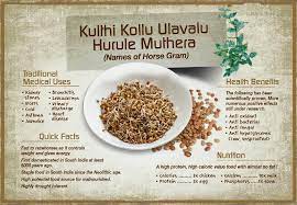 Horse Gram 12 Health Benefits And Recipes Ayurvedic Recipes Health Food Food