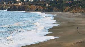 Gualala Point Beach – Mendonoma Sightings