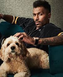 Последние твиты от hardik pandya (@hardikpandya7). Pin By Zeenath Nisha On Hardik Pandya Net Worth India Match Cricket