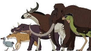 Cenozoic Beasts Animated Size Comparison By Dane Pavitt On Youtube Animals Artwork Prehistoric Animals Extinct Animals