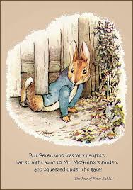 Beatrix Potters Peter Rabbit Download The Size Of This File Is 1425x2025 Pixels You Will Be Rabbit Art Beatrix Potter Illustrations Peter Rabbit And Friends