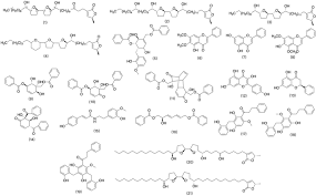 Image result for Uvaria tanzaniae