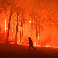 The 30 percent figure they calculated is a minimum. Australia Bushfires Factcheck Are This Year S Fires Unprecedented Bushfires The Guardian