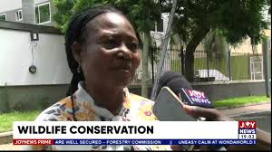 JoyNews Prime is live with Samuel Kojo Brace