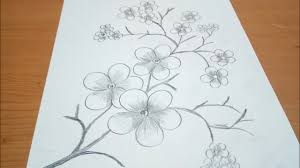 Maybe you would like to learn more about one of these? Sketsa Bunga Sakura Youtube
