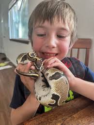 What are some suggestions for a snake or herp wrangler for a 5-year-old's  birthday party in November?