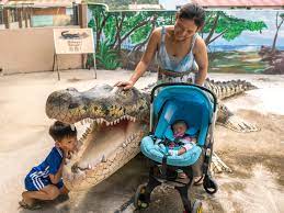 Family trip of teluk sengat crocodile farm. Teluk Sengat Crocodile Farm Ayer Tawar