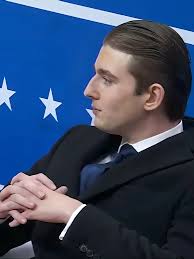 Especially liberal NYU