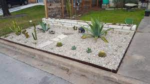 Every type is different, but most cacti require a minimum of four hours of direct sunlight per day. Made A Cactus Garden In My Front Yard Cactus
