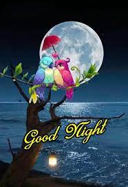 Pin by Vijay on vijay | Cute good night, Good night friends images, Good  night flowers