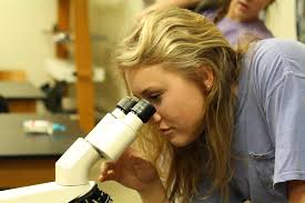 Rebel with a Lens Photography