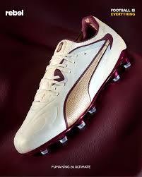 Image result for Puma 20