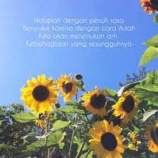 Pertanian adalah bisnis yang tidak akan mati sampai hari kiamat, karena sampai kapan pun. Caption Kata Kata Tentang Bunga Matahari