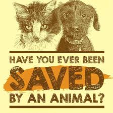 Maybe you would like to learn more about one of these? Misfit Haven Animal Rescue Adoption Center Home Facebook