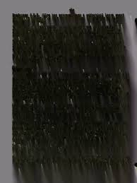 University of Illinois modern foreign language newsletter