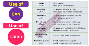 Pin On English Grammar In Urdu