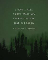Henry David Thoreau Quote Poster I Took A Walk In The Woods Mens Art Trees Poster Gifts For Him Wall Art Green Poster Men S Gift Nature Quotes Thoreau Quotes Henry David