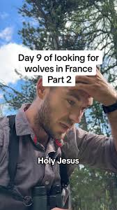 Glenn Villeneuve Wolves Video