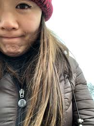 Chris & Danielle Lincoln Park Conservatory Proposal — Ivana & Steven  Photography