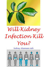 Kidney Transplant Kidney Infection Polycystic Kidney Disease Kidney Infection Treatment