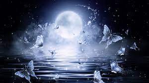 2048x1152 Wallpaper Moon Butterflies Stars Glitter Art 2048x1152 Wallpapers Art Wallpaper