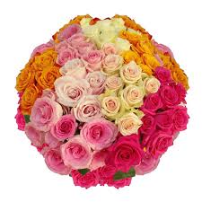 Anniversary flower gifts for your mom: Amazon Com Globalrose Send Flowers On Mother S Day 75 Long Stem Assorted Colors Roses Fresh Cut Format Rose Flowers Grocery Gourmet Food
