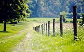 Image Result For Blur Wallpaper Hd 1920x1200 Photoshop Backgrounds Nature Backgrounds Background Images Search more hd transparent blur effect image on kindpng.