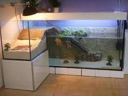 Le plus vaste catalogue de tables basses en vente par les antiquaires professionnels. Comment Construire Un Terrarium Pour Tortues Recherche Google Aquarium Pour Tortue Terrarium Tortue Vivarium Tortue
