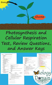 Pin On Photosynthesis And Cellular Respiration