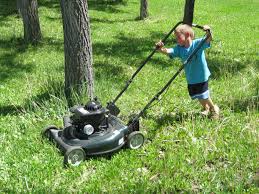 We've recently added lawn care and limited garden care too! What Healthcare Can Learn From Mowing Lawns