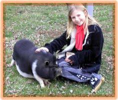 Maybe you would like to learn more about one of these? 36 Animal Party Petting Zoos Pony Rides Texas Based Ideas Animal Party Pony Rides Zoo