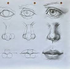 The fundamentals of drawing still life. Https Www Handmadee Pingle Site Art Mouth Nose Eyes Black And White Human Figure Male Human Figure Feed Id 10476 U Drawings Realistic Drawings Nose Drawing