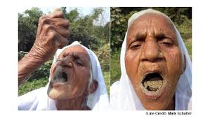 Mark Schulte (@markschulte1)