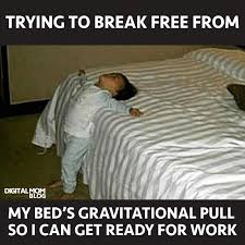 Funny Good Morning Memes Start Your Day With A Smile Funny Good Morning Memes Funny Morning Memes Good Morning Funny