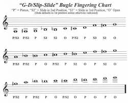 Evolution Of The American Competition Bugle 1900 Through Present