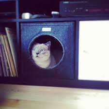 Felt Cat Cave Fits Into Ikea Expedit And Kallax Felt Cat Cube Cat Bed Cat House Pet Bed Small Puppy Bed Pet Furniture Cat Bed Cat Cube Puppy Beds