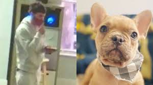 And has a large variety of birds, reptiles, fish, small animals, and supplies for all your pets needs! Search On For 3 Month Old Puppy Stolen From Largo Pet Store Wfla