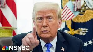 Nicolle Wallace calls