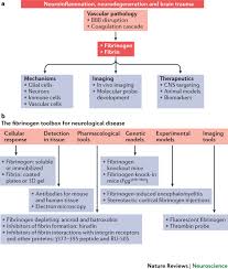 Image result for Fibrinogen