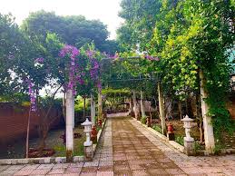 Dũng đã quyết định con đường đi cho mình cách đây 3 năm. Quang Teo Tá»« Nghá»‡ SÄ© Ngheo 13 NÄƒm Hiáº¿m Muá»™n Ä'áº¿n Tai Sáº£n Káº¿ch Xu Vietnamnet