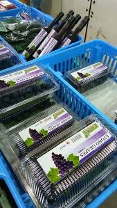 Alibaba.com offers 3,835 grape tomatoes products. Kc Kwang Sons Grapes Tomato Farm Cameron Highlands Pahang Malaysia Farm Facebook