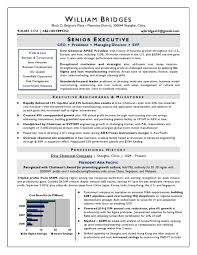 Global International Ceo Resume Sample Page 1 Resume Writer Executive Resume Resume Examples