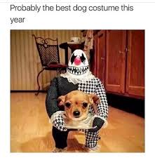 20 Best Scary Halloween Memes Free Download