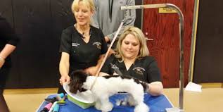 Check spelling or type a new query. Pampering Your Pets In Hammond Tangi Review