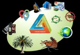 The borrego springs, ca demographics data displayed above is derived from the 2016 united states census bureau american. Schematic Representation Of The Geoinformatic Application In Pest Download Scientific Diagram